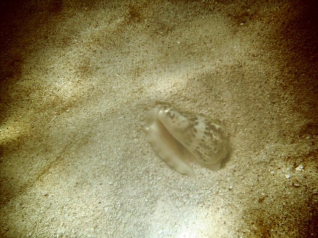 photo111.jpg