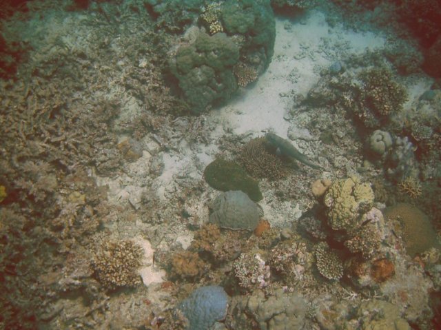 photo141.jpg
