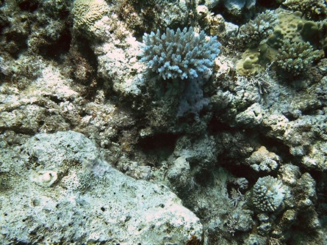 photo160.jpg