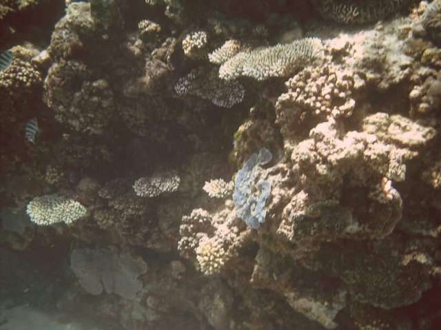 photo172.jpg
