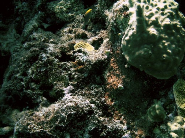 photo187.jpg
