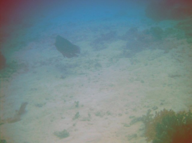 photo194.jpg