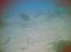 photo194_small.jpg