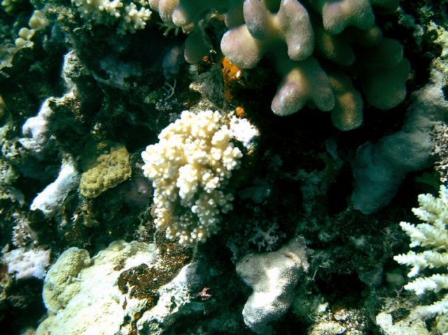 photo195.jpg