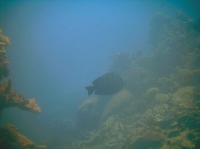 photo197.jpg
