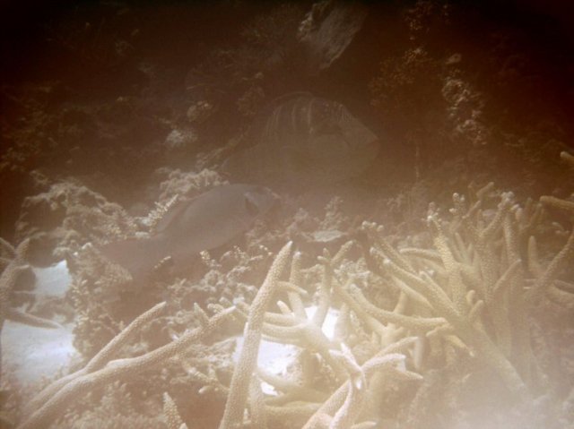 photo200.jpg