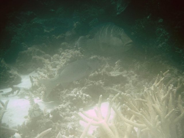 photo203.jpg