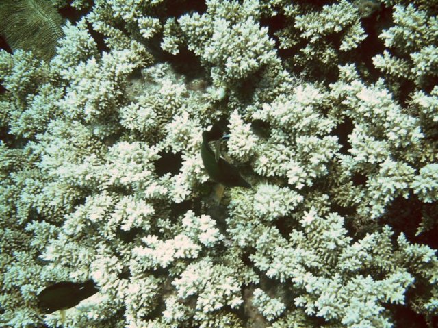 photo217.jpg