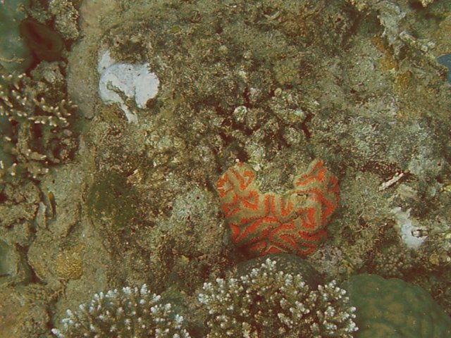 photo23.jpg