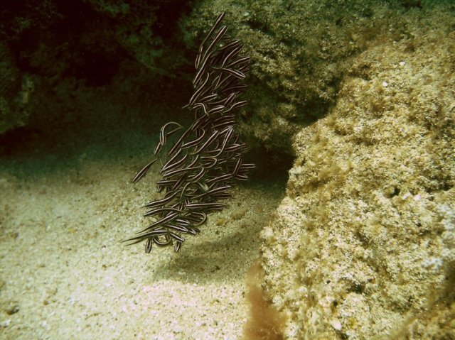 photo25.jpg