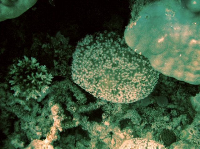photo27.jpg