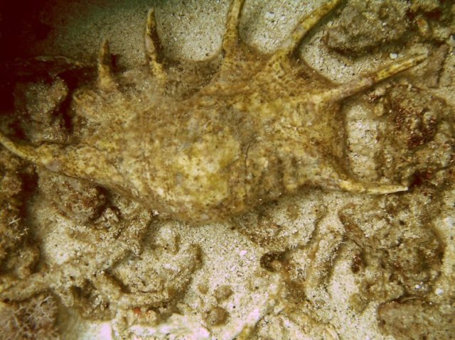 photo29.jpg