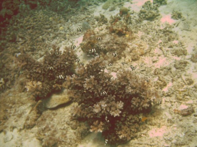photo30.jpg