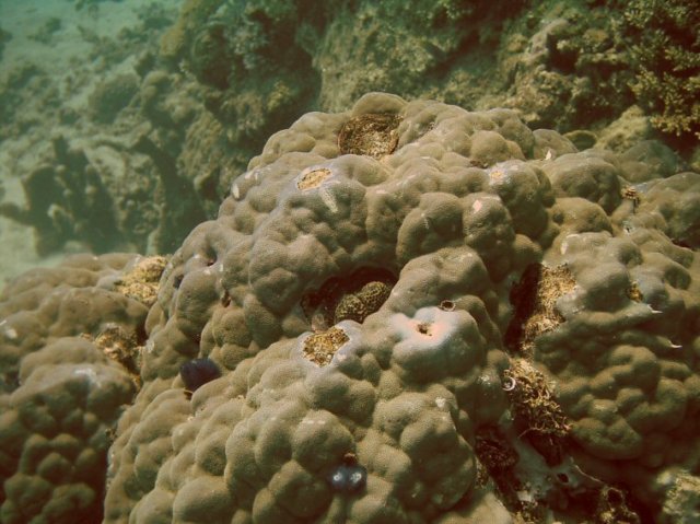 photo33.jpg