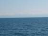 photo343_small.jpg