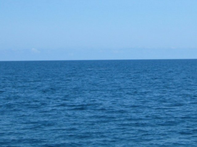 photo350.jpg