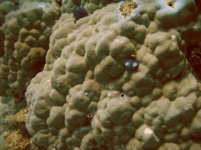 photo37.jpg