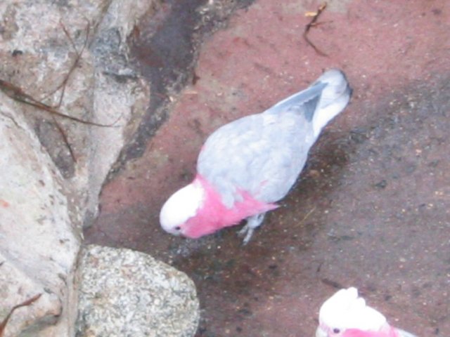 photo378.jpg