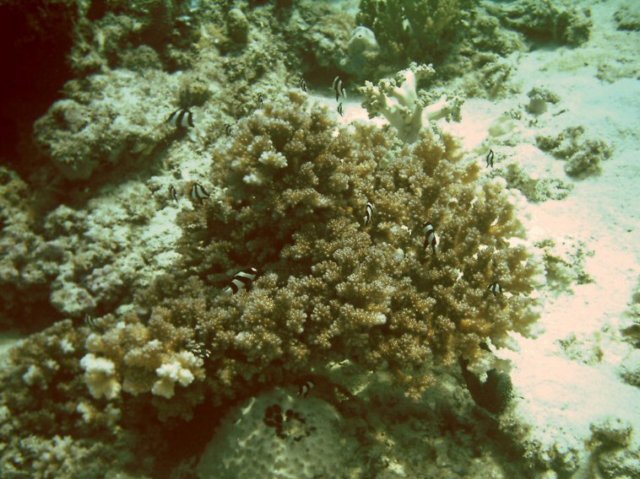 photo39.jpg