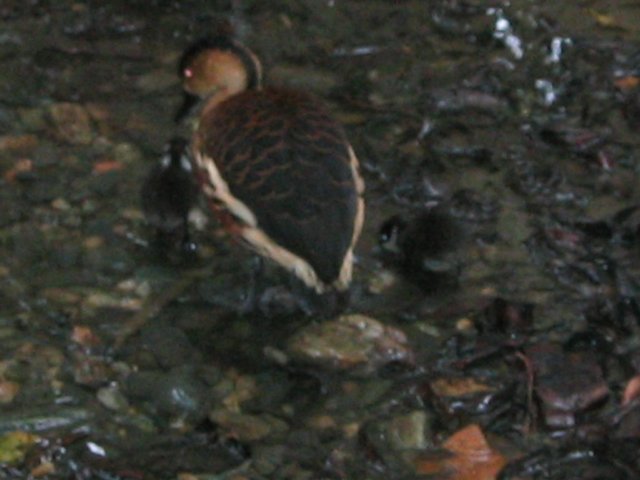 photo391.jpg