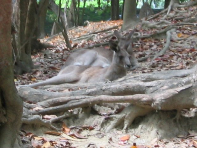 photo396.jpg