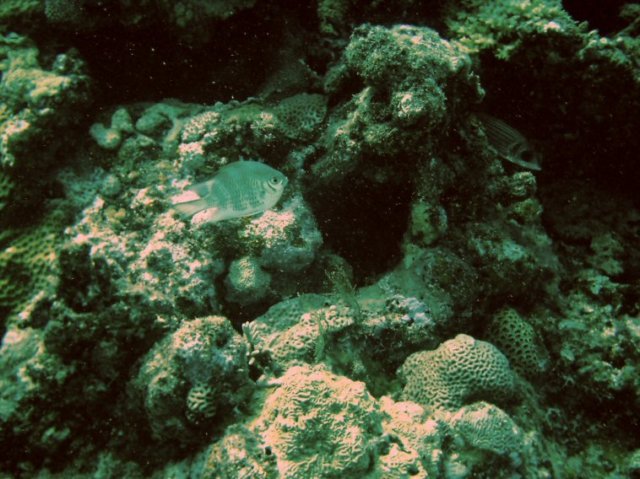 photo40.jpg