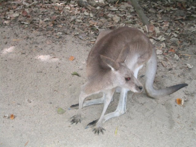 photo402.jpg