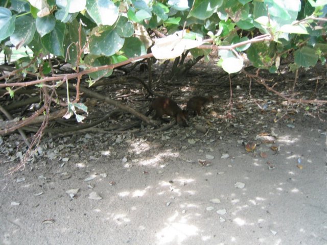 photo406.jpg