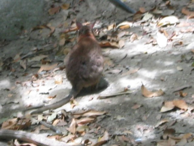 photo408.jpg