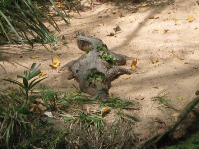 photo410.jpg