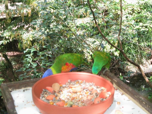 photo418.jpg