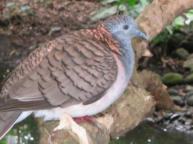 photo423.jpg