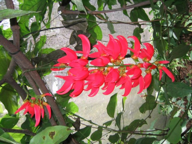 photo424.jpg