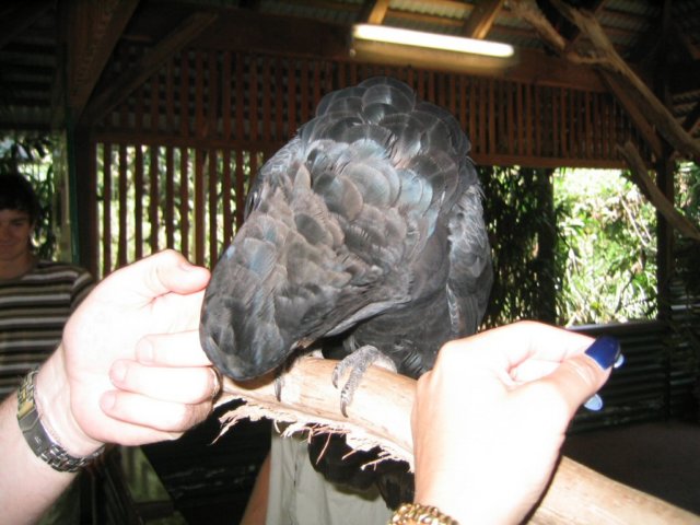 photo427.jpg