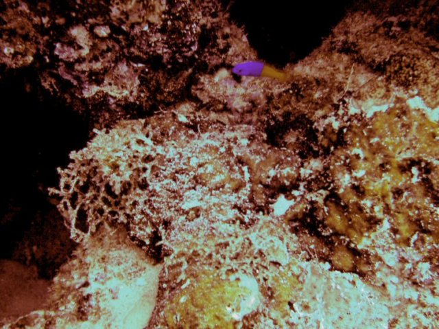 photo43.jpg