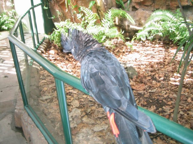 photo441.jpg