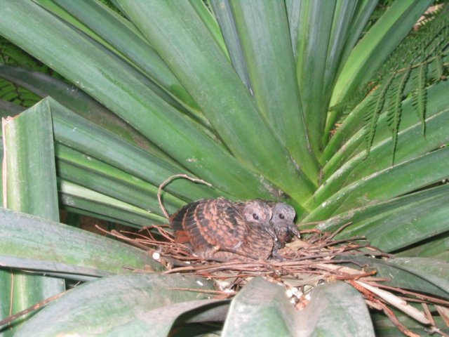 photo457.jpg