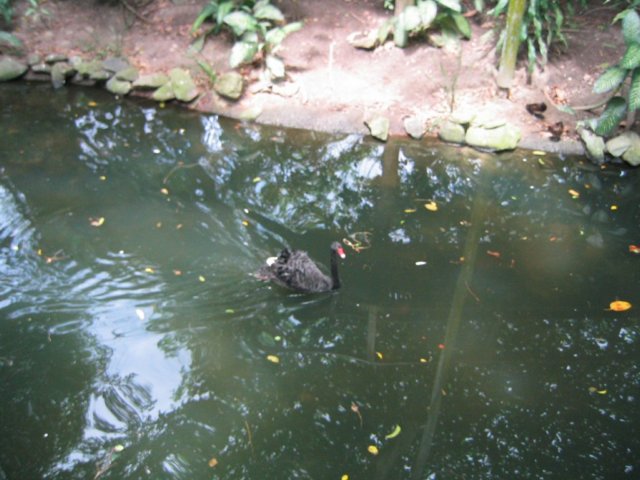 photo469.jpg