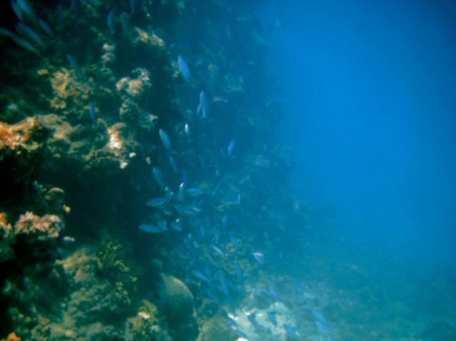 photo47.jpg