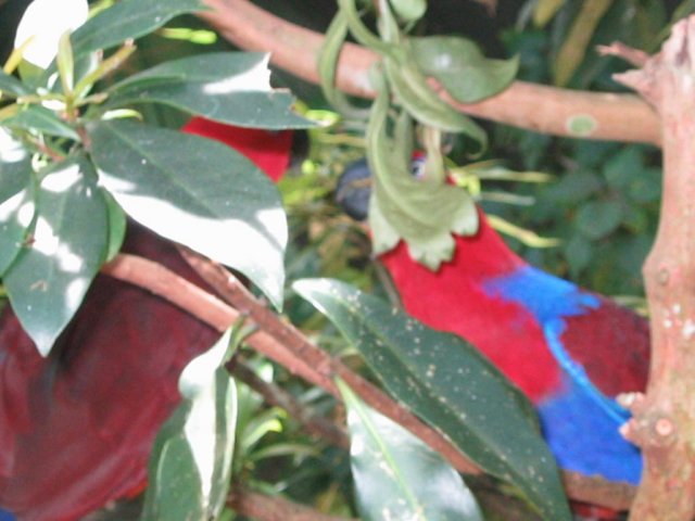 photo471.jpg