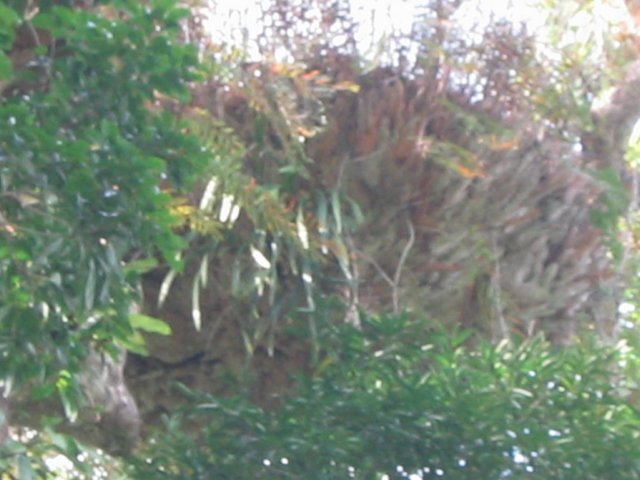 photo476.jpg
