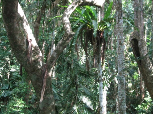 photo477.jpg