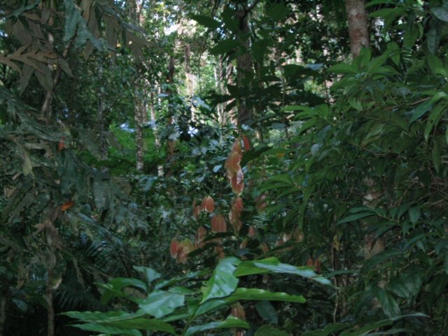 photo479.jpg