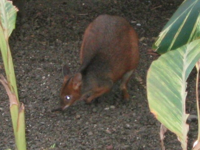 photo489.jpg