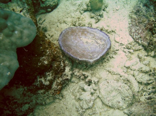 photo51.jpg