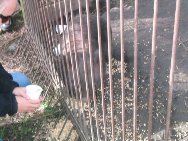 photo511.jpg