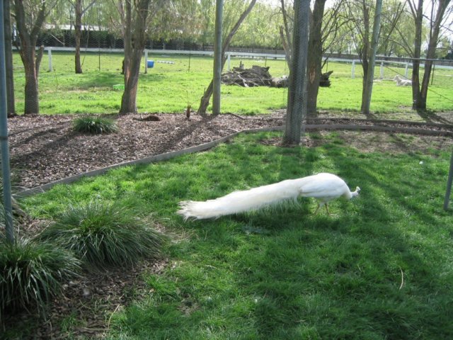 photo514.jpg