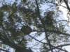 photo517_small.jpg