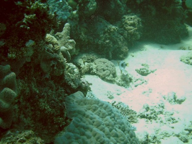 photo56.jpg