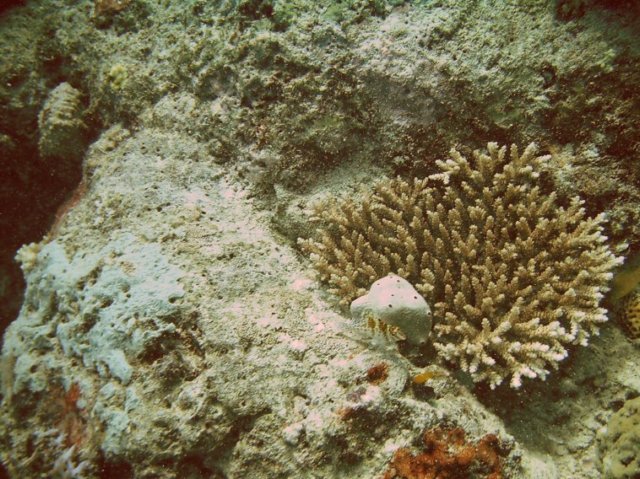 photo60.jpg